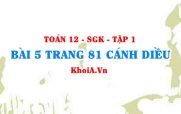 Bài 5 trang 81 Toán 12 tập 1 Cánh Diều
